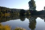 Bild-Thumbnail