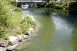 Bild-Thumbnail